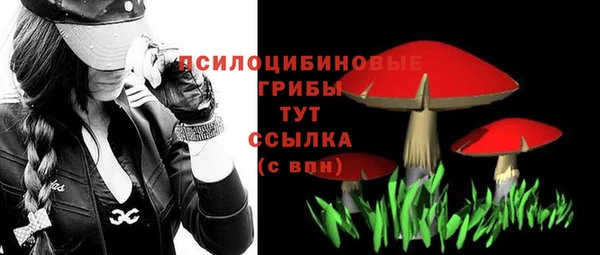 индика Абинск