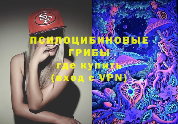 индика Абинск