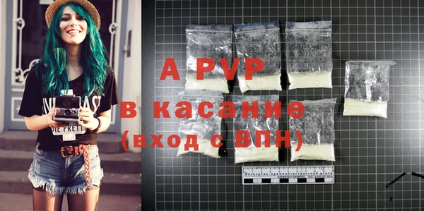 индика Абинск
