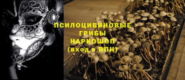 индика Абинск