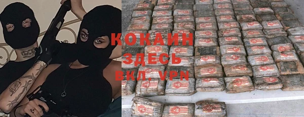 индика Абинск