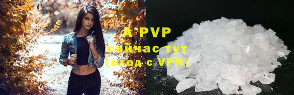 прущий лед Абаза